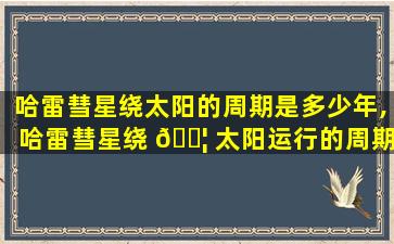 哈雷彗星绕太阳的周期是多少年,哈雷彗星绕 🐦 太阳运行的周期约为哪一年